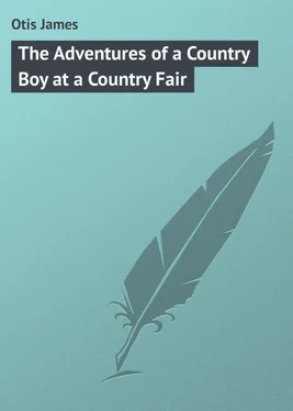 James Otis The Adventures of a Country Boy at a Country Fair обложка книги