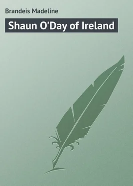Madeline Brandeis Shaun O'Day of Ireland обложка книги