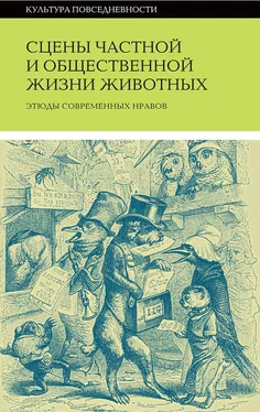 Коллектив авторов Сцены частной и общественной жизни животных обложка книги