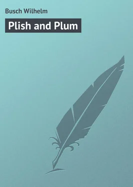 Wilhelm Busch Plish and Plum обложка книги