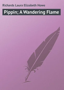 Laura Richards Pippin; A Wandering Flame обложка книги