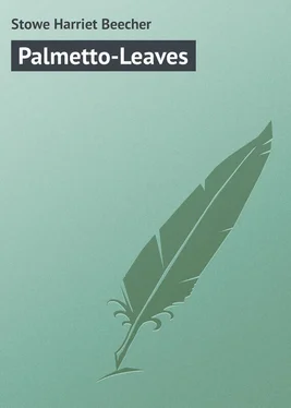 Harriet Stowe Palmetto-Leaves обложка книги