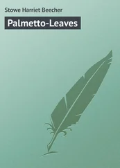 Harriet Stowe - Palmetto-Leaves