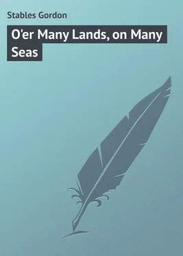 Gordon Stables O'er Many Lands, on Many Seas обложка книги