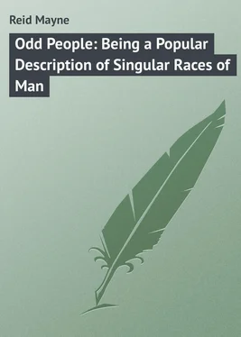 Mayne Reid Odd People: Being a Popular Description of Singular Races of Man обложка книги