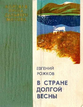 Евгений Рожков В стране долгой весны обложка книги