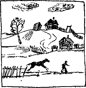 В стране долгой весны Над Тихим океаном мощные потоки воздуха стремительно - фото 3