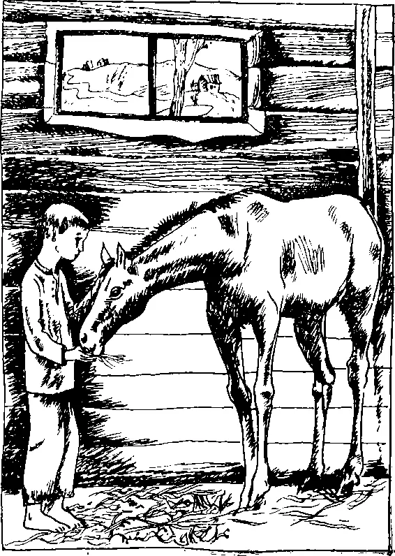 Над Тихим океаном мощные потоки воздуха стремительно закручивая в спирали - фото 4