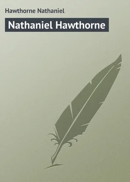 Nathaniel Hawthorne Nathaniel Hawthorne обложка книги