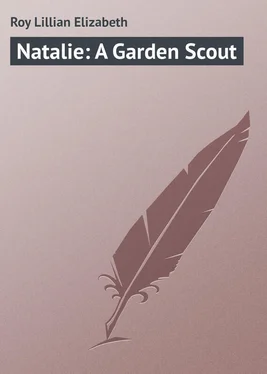 Lillian Roy Natalie: A Garden Scout обложка книги