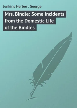 Herbert Jenkins Mrs. Bindle: Some Incidents from the Domestic Life of the Bindles обложка книги