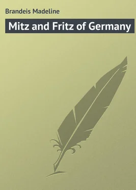 Madeline Brandeis Mitz and Fritz of Germany обложка книги