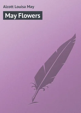 Louisa Alcott May Flowers обложка книги