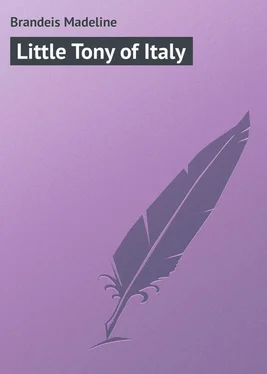 Madeline Brandeis Little Tony of Italy обложка книги