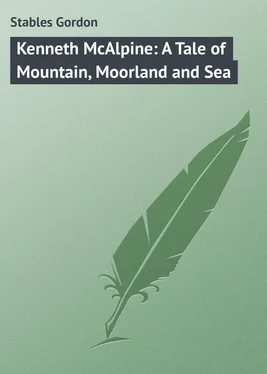 Gordon Stables Kenneth McAlpine: A Tale of Mountain, Moorland and Sea обложка книги