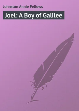 Annie Johnston Joel: A Boy of Galilee обложка книги