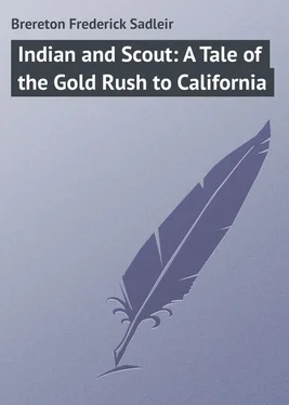 Frederick Brereton Indian and Scout: A Tale of the Gold Rush to California обложка книги
