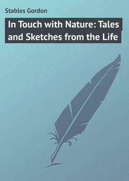 Gordon Stables In Touch with Nature: Tales and Sketches from the Life обложка книги