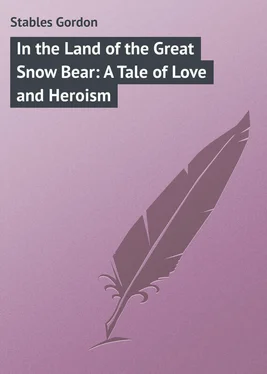 Gordon Stables In the Land of the Great Snow Bear: A Tale of Love and Heroism обложка книги