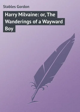 Gordon Stables Harry Milvaine: or, The Wanderings of a Wayward Boy обложка книги