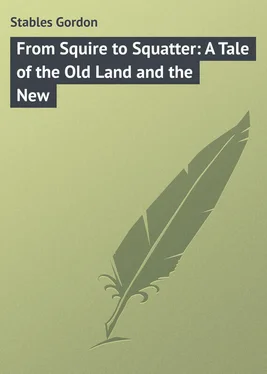 Gordon Stables From Squire to Squatter: A Tale of the Old Land and the New обложка книги