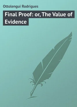Rodrigues Ottolengui Final Proof: or, The Value of Evidence обложка книги