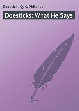 Philander Doesticks Doesticks: What He Says обложка книги