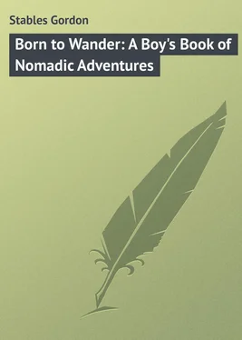 Gordon Stables Born to Wander: A Boy's Book of Nomadic Adventures обложка книги