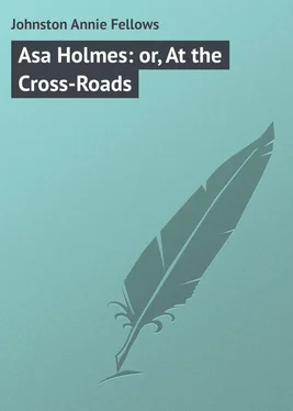 Annie Johnston Asa Holmes: or, At the Cross-Roads обложка книги