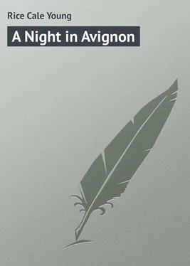 Cale Rice A Night in Avignon обложка книги