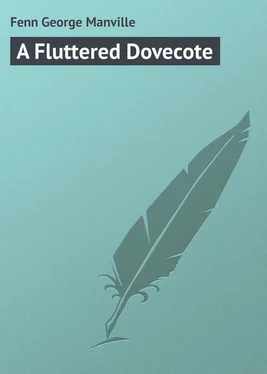 George Fenn A Fluttered Dovecote обложка книги