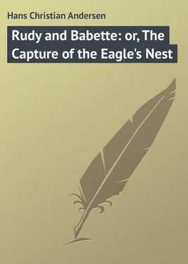 Hans Andersen Rudy and Babette: or, The Capture of the Eagle's Nest обложка книги