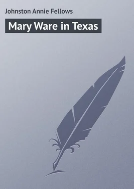 Annie Johnston Mary Ware in Texas обложка книги
