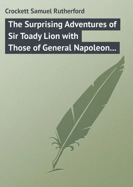Samuel Crockett The Surprising Adventures of Sir Toady Lion with Those of General Napoleon Smith обложка книги