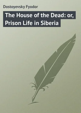 Fyodor Dostoyevsky The House of the Dead: or, Prison Life in Siberia обложка книги