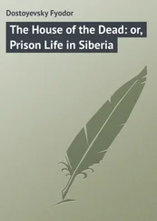 Fyodor Dostoyevsky - The House of the Dead - or, Prison Life in Siberia