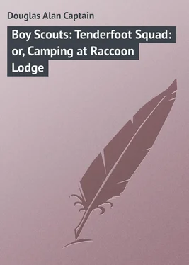 Alan Douglas Boy Scouts: Tenderfoot Squad: or, Camping at Raccoon Lodge обложка книги