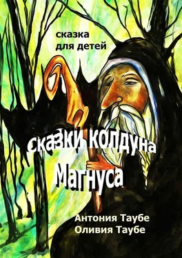 Оливия Таубе Сказки колдуна Магнуса обложка книги