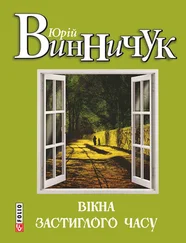 Юрій Винничук - Вікна застиглого часу