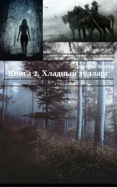 Дмитрий Всатен Книга 2. Хладный холларг обложка книги