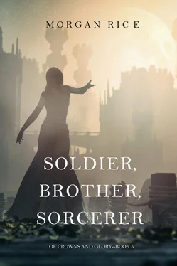 Morgan Rice Soldier, Brother, Sorcerer обложка книги