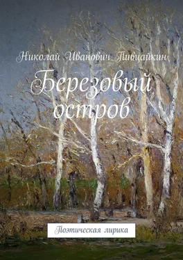 Николай Пивцайкин Березовый остров. Поэтическая лирика обложка книги