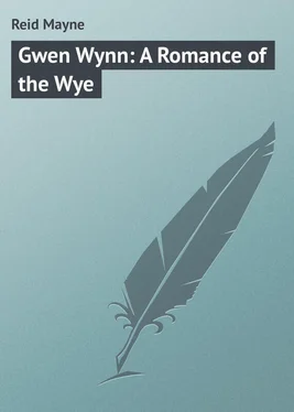 Mayne Reid Gwen Wynn: A Romance of the Wye обложка книги