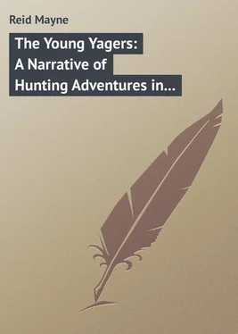 Mayne Reid The Young Yagers: A Narrative of Hunting Adventures in Southern Africa обложка книги