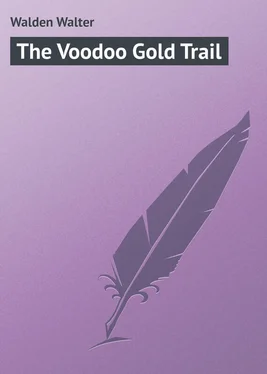 Walter Walden The Voodoo Gold Trail обложка книги