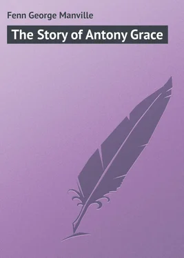 George Fenn The Story of Antony Grace обложка книги