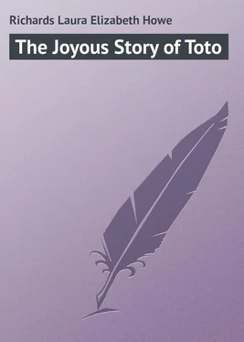 Laura Richards The Joyous Story of Toto обложка книги