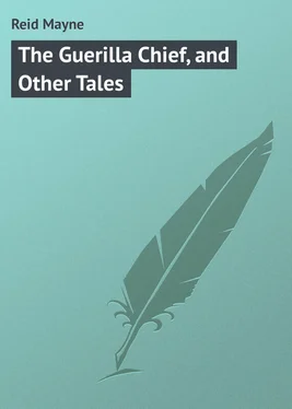 Mayne Reid The Guerilla Chief, and Other Tales обложка книги