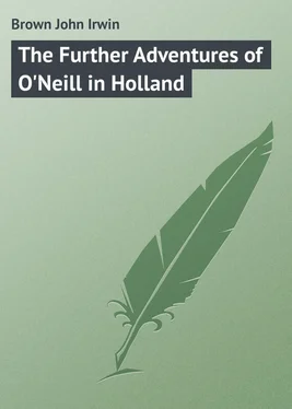 John Brown The Further Adventures of O'Neill in Holland обложка книги