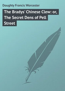 Francis Doughty The Bradys' Chinese Clew: or, The Secret Dens of Pell Street обложка книги